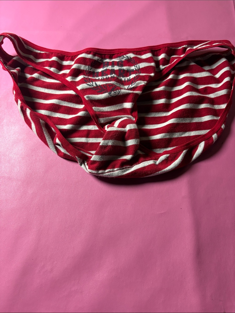 Striped Red and White Bikini Panty